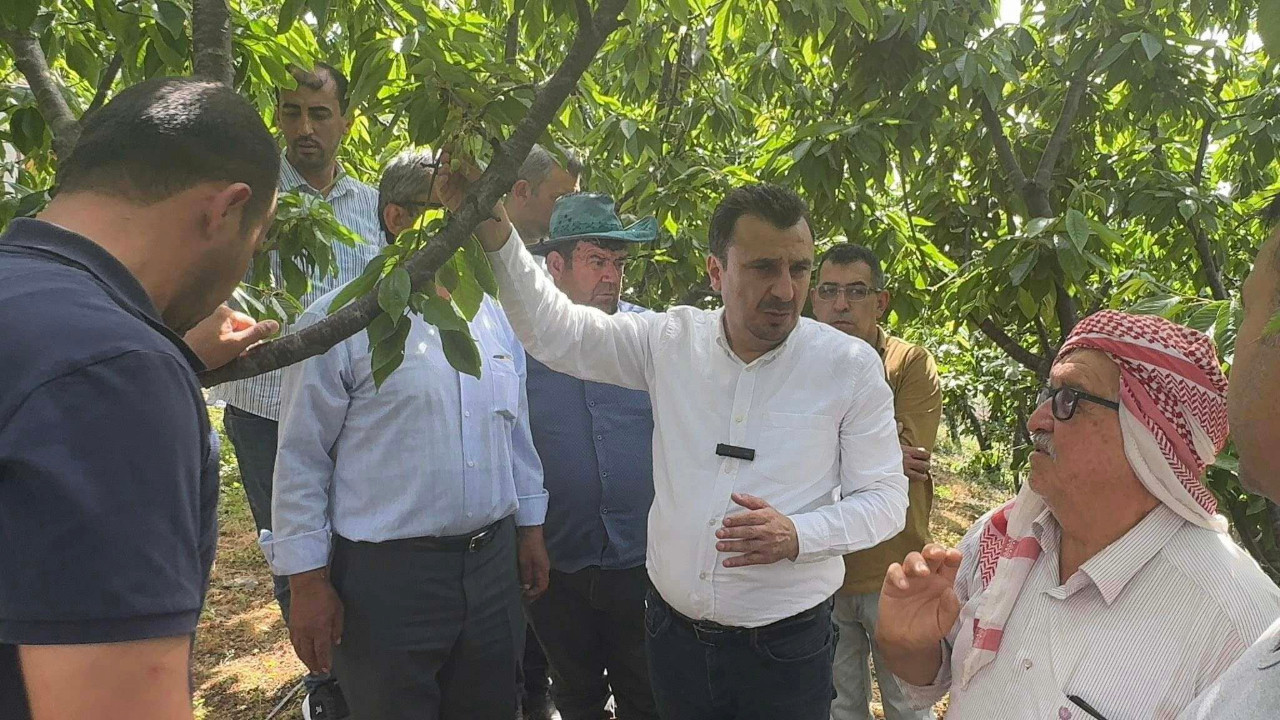 İsyan etti: 6 - 6.5 ton ürün alıyordum, şimdi 5 kasa çıkmıyor