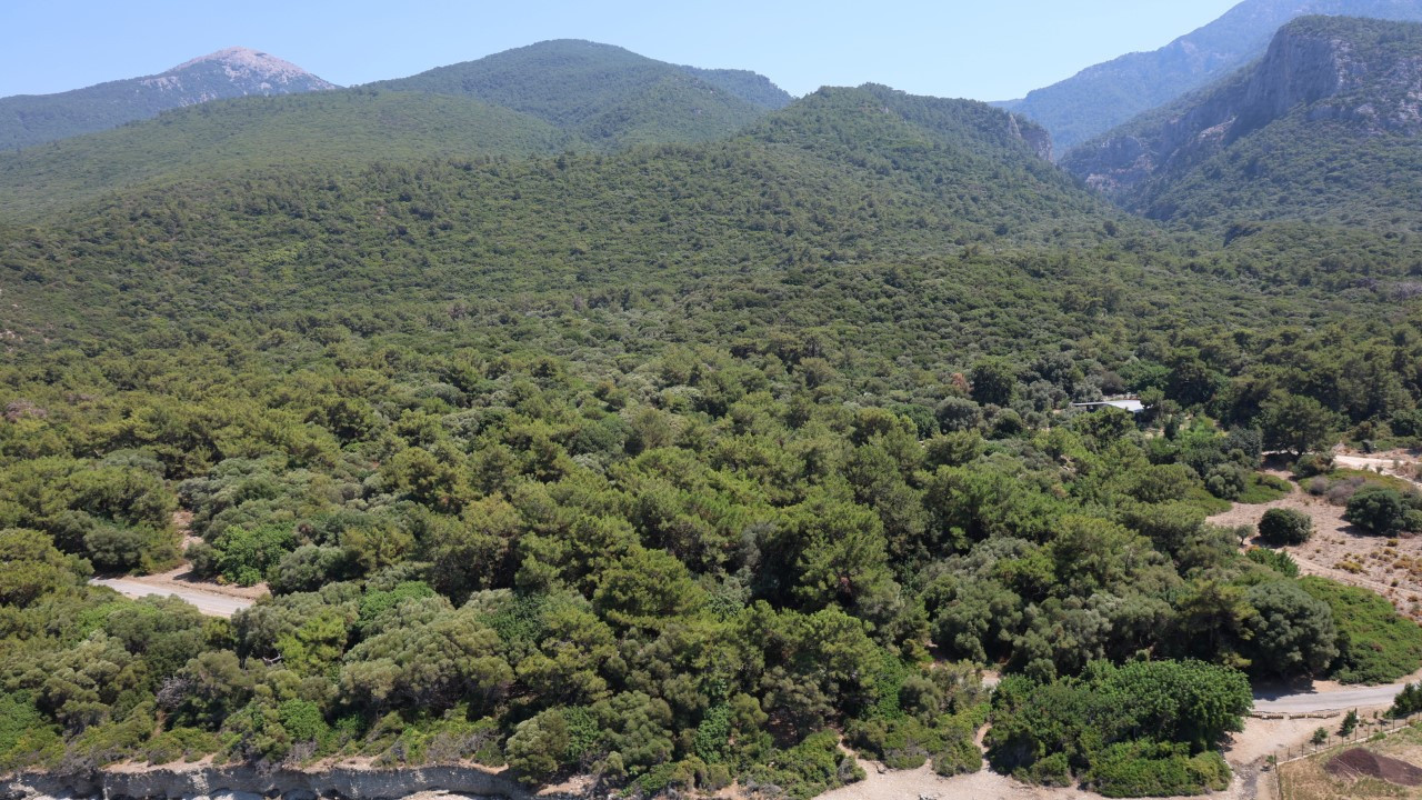 Valilik açıkladı: Ormanlık alanlara giriş yasaklandı