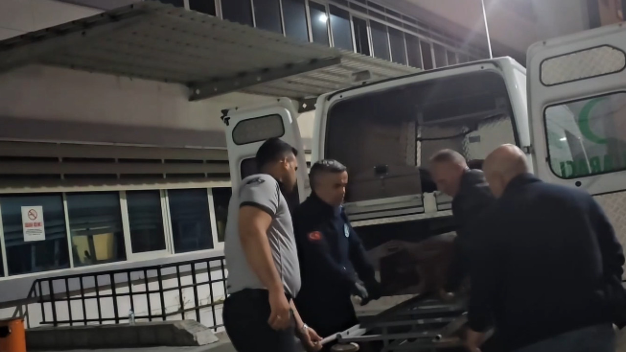 12 gündür kayıptı, ağaca asılı halde bulundu