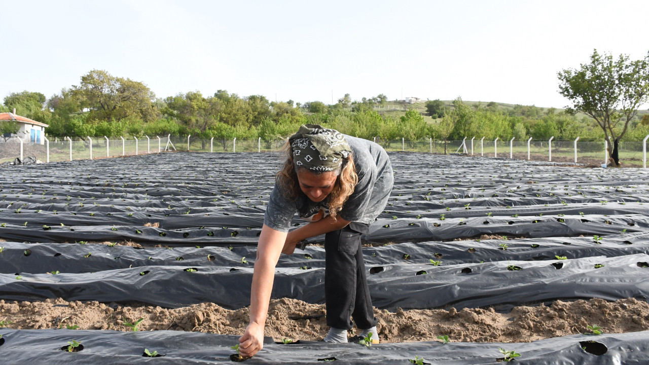 Ankara'yı terk edip Yozgat'ta üretici oldu: 'Taleplere yetişemiyorum'