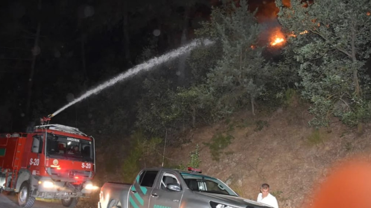 Şaka yaparken ormanı yaktı, 43 milyon TL isteniyor