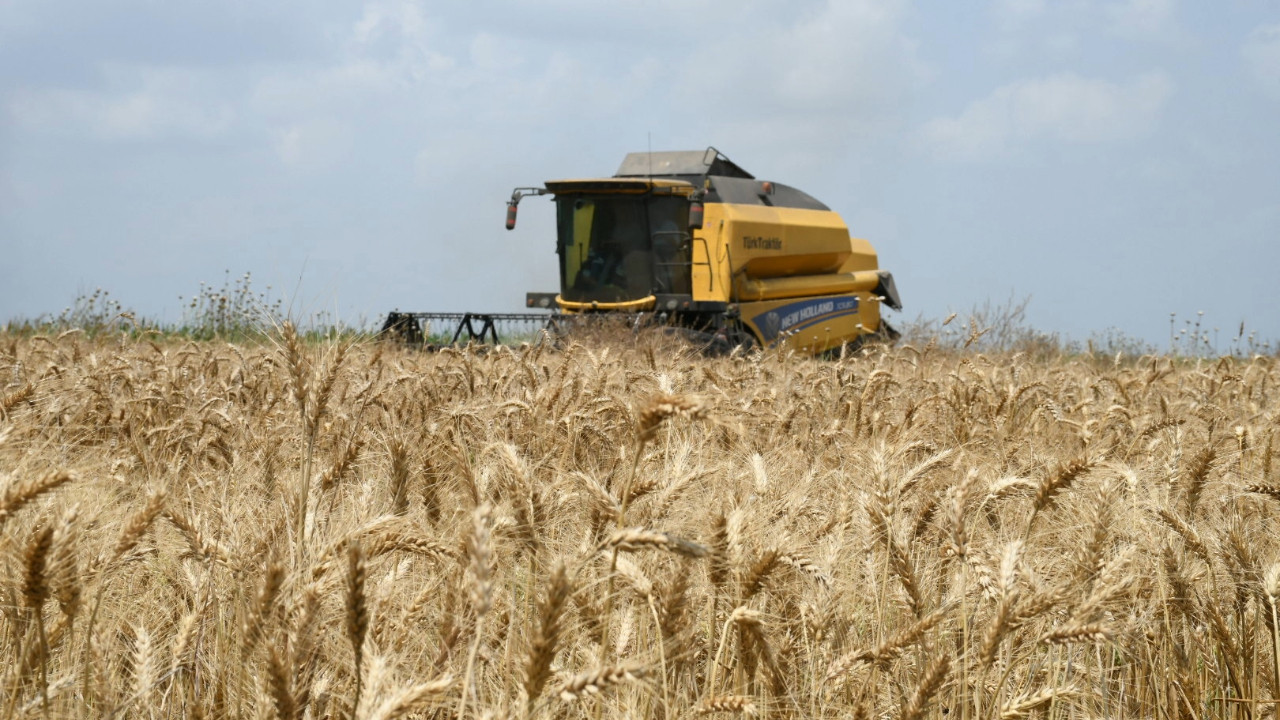 En düşük fiyatı gösterip bakanlığa seslendi: Bu sevdadan vazgeçin