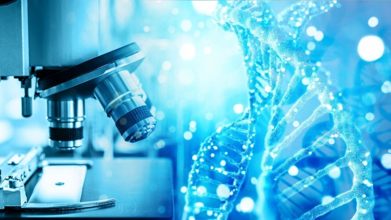 DNA için “Google”: MetaGraph genetik verileri saniyeler içinde tarıyor