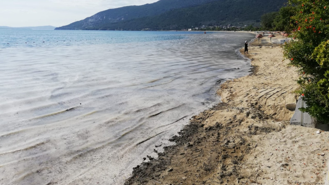 Bakanlık açıkladı: 250'den fazla işletmeye kilit vuruldu