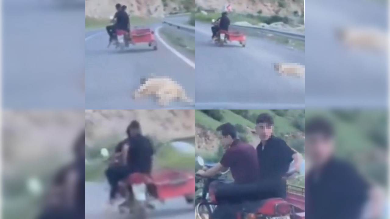 Ölü köpeği sürükleyen şahsa 50 bin TL ceza
