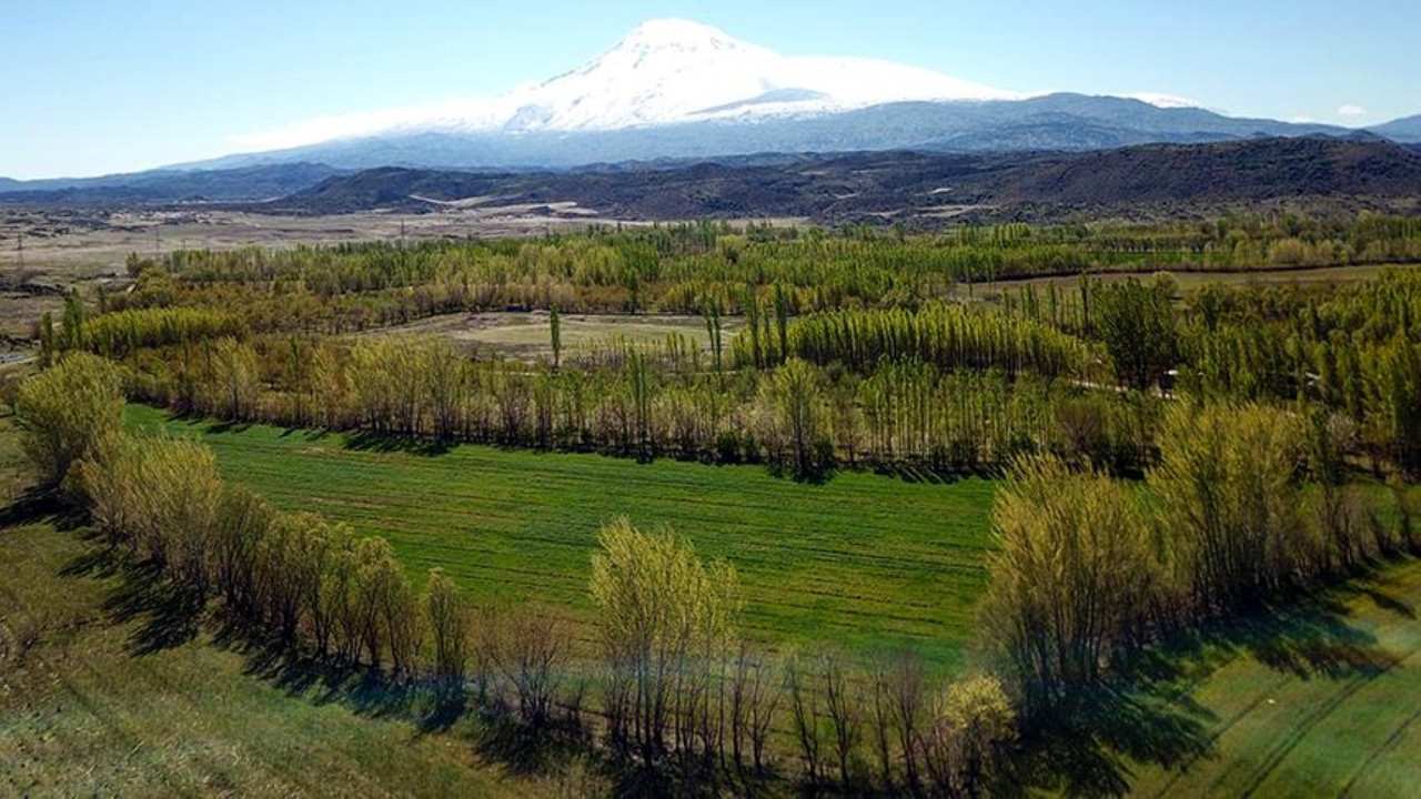 2B'de tapular dağıtılacak