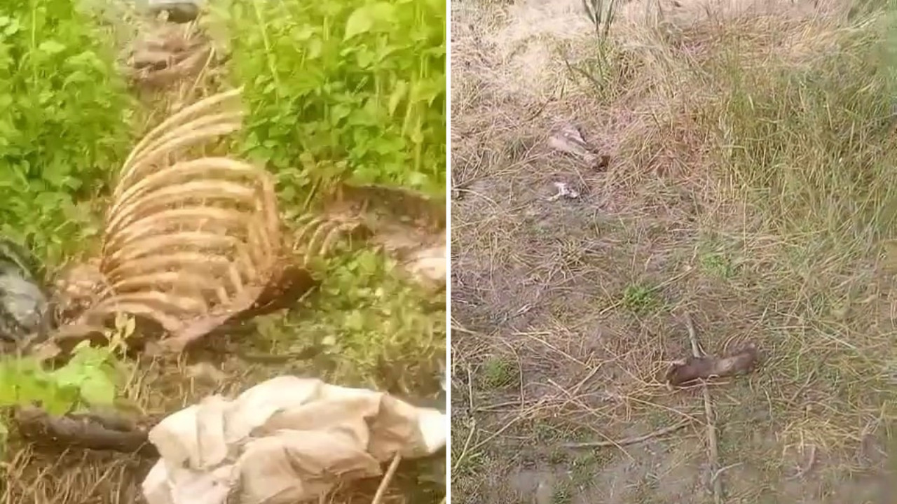 Etiyle kemiğiyle ortada: 'Tek tırnaklı' skandalı büyüyor