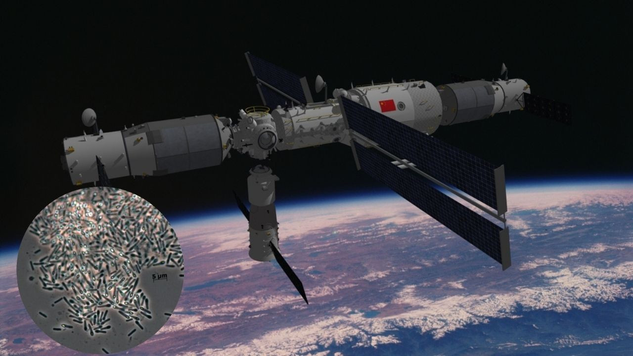 Uzay istasyonunda ilginç keşif: 'Benzersiz yeteneklere' sahip gizemli bakteri