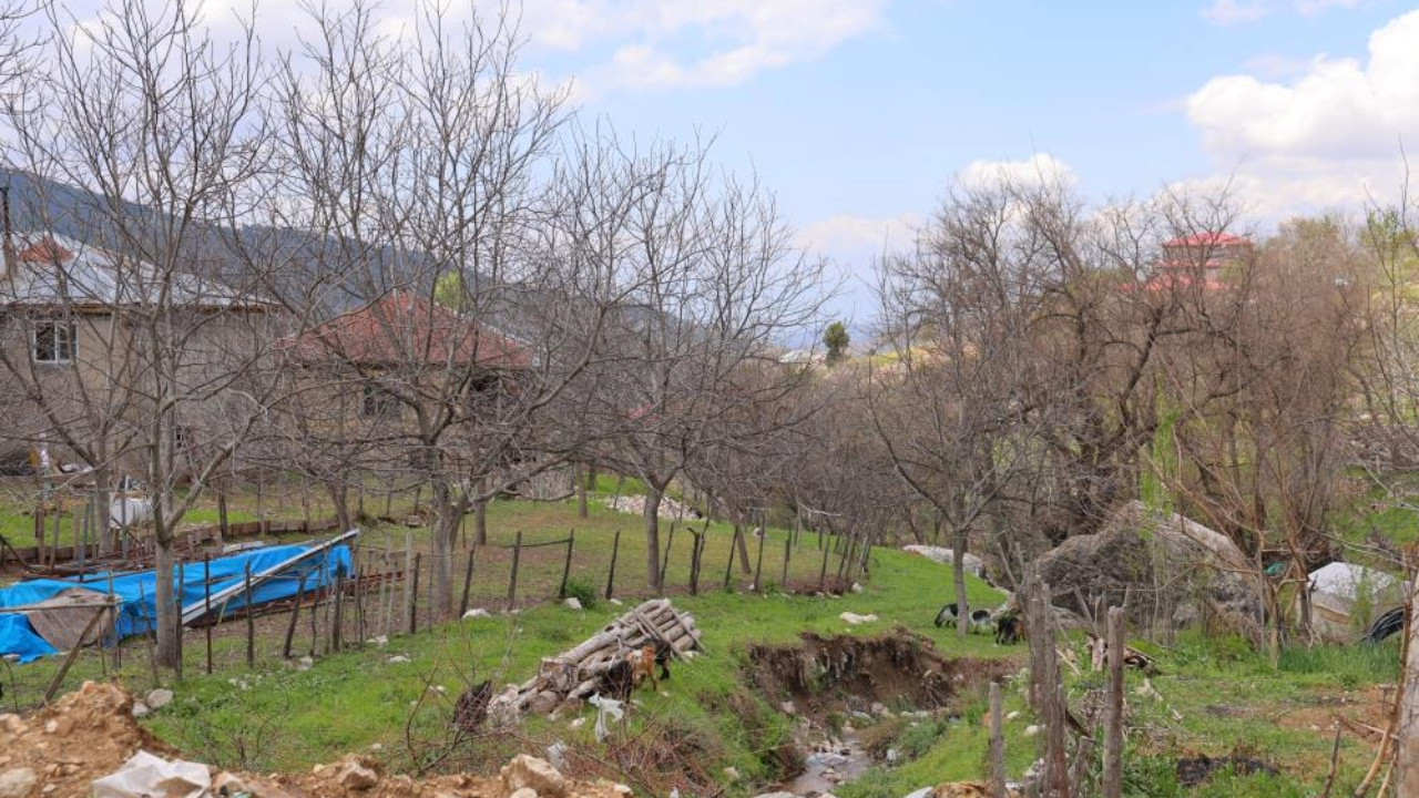 Zirai don planları mahvetti: 'En az iki yıl ciddi üretim olmaz'