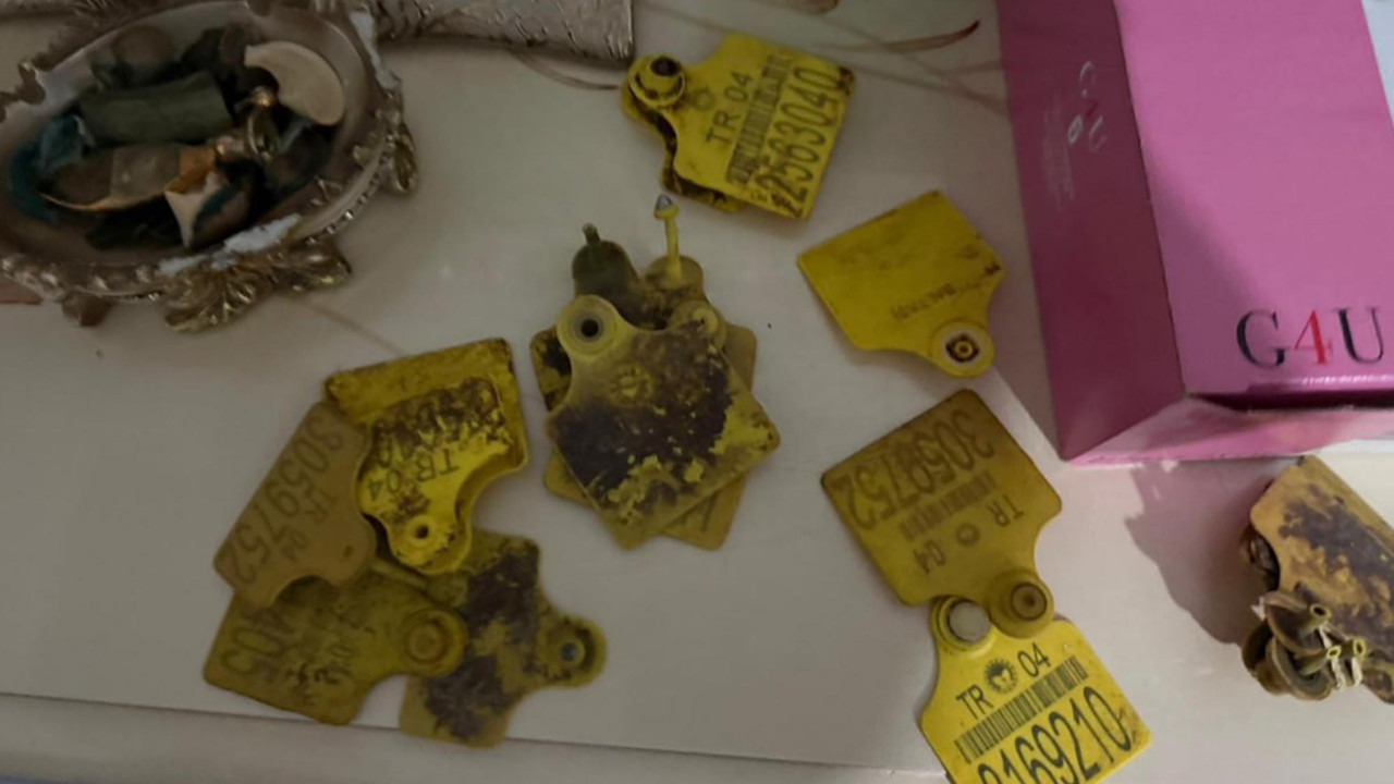 Kurbana 'sahte pasaport' düzenleyenlere operasyon