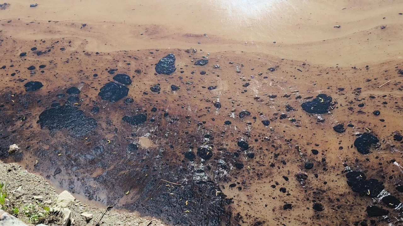 Kars Çayı'na akaryakıt karıştı