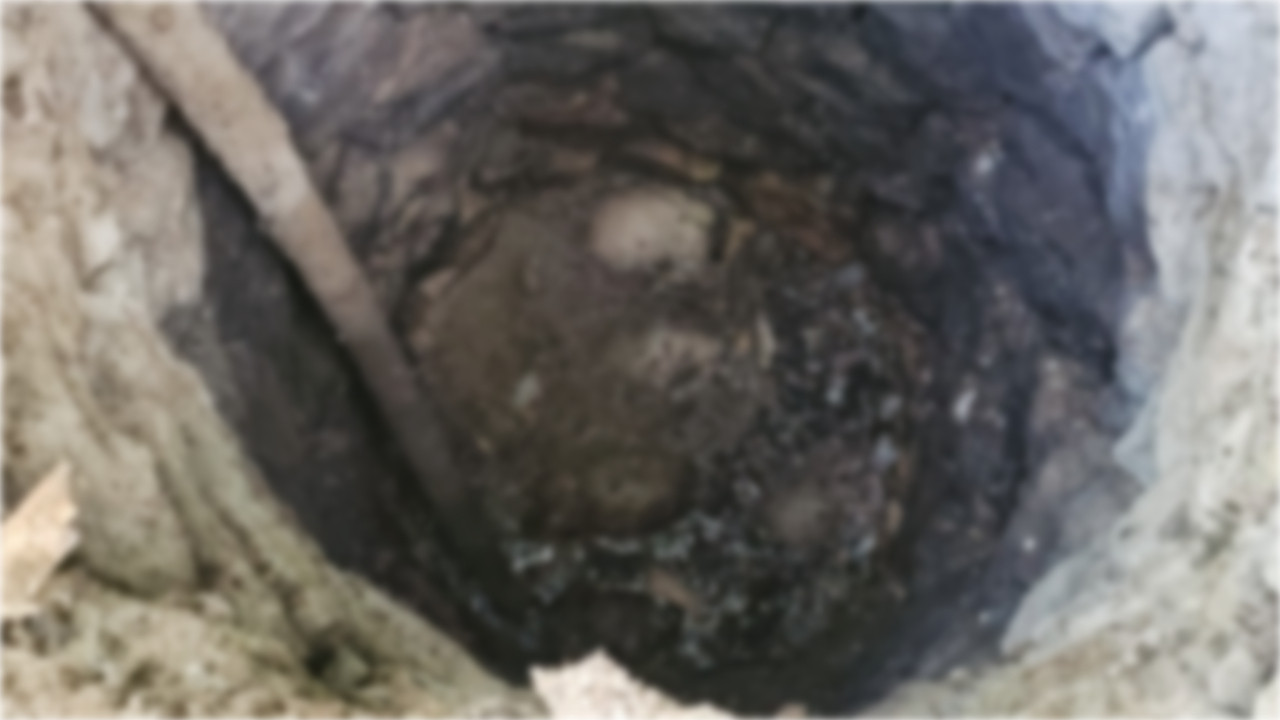 Yavru köpekler kuyuda öldü