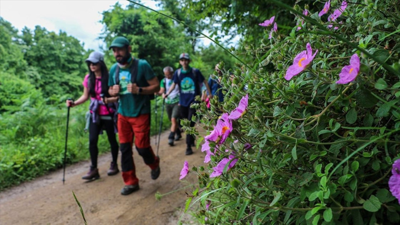Ormanda kayboldu, cesedi bulundu