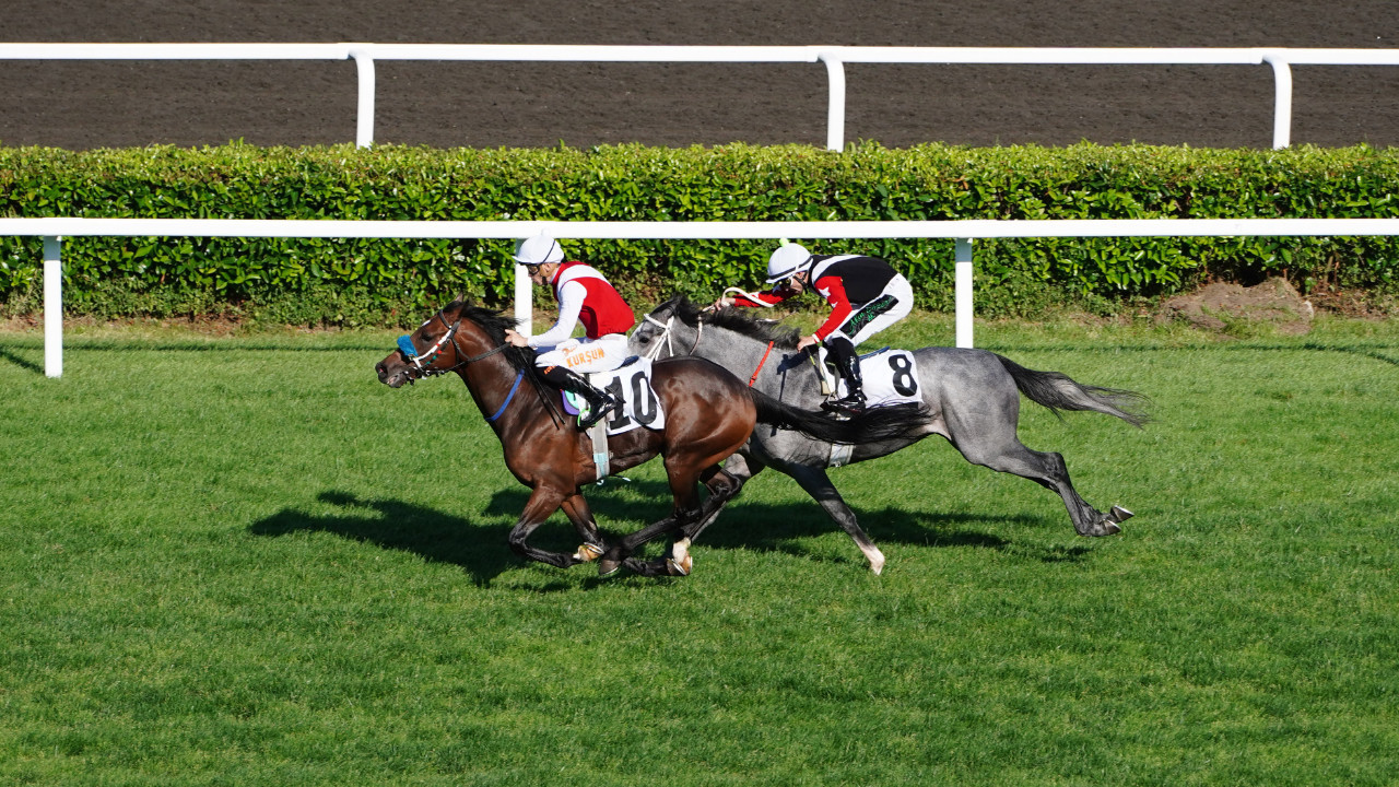 Bir zam da at yarışına