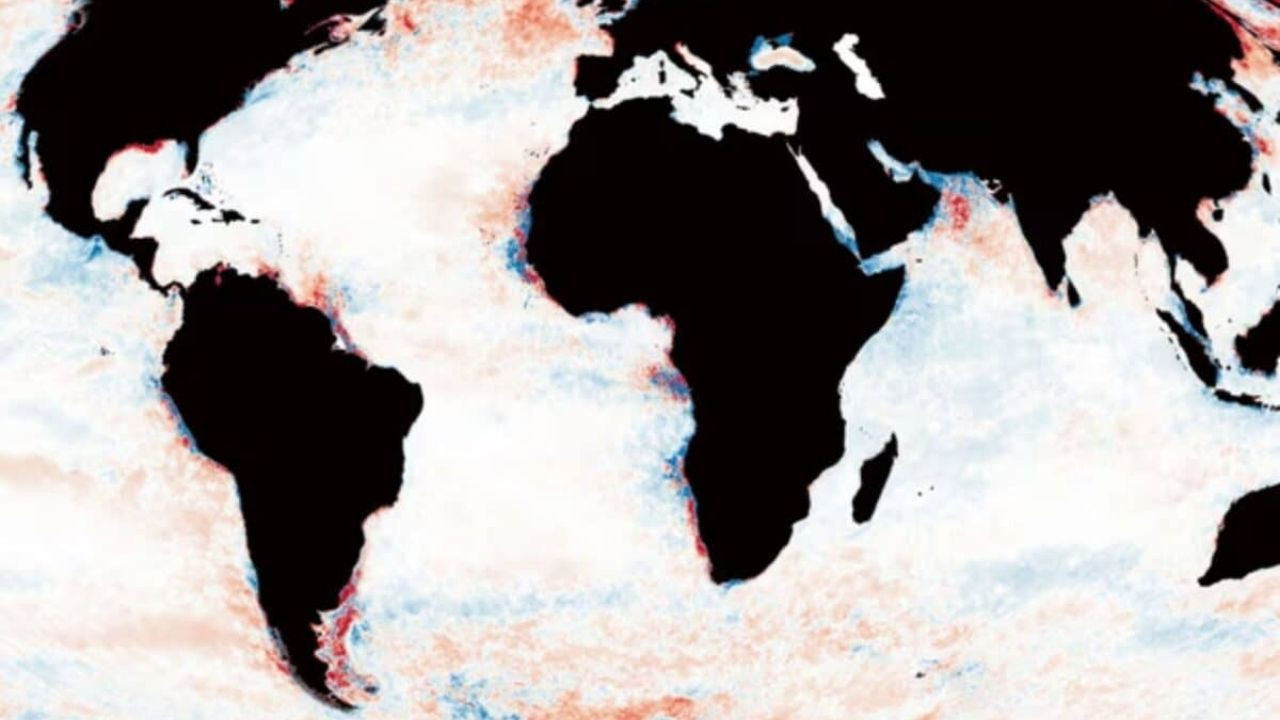 Bilim insanlarından endişe yaratan araştırma: Okyanus suları kararıyor