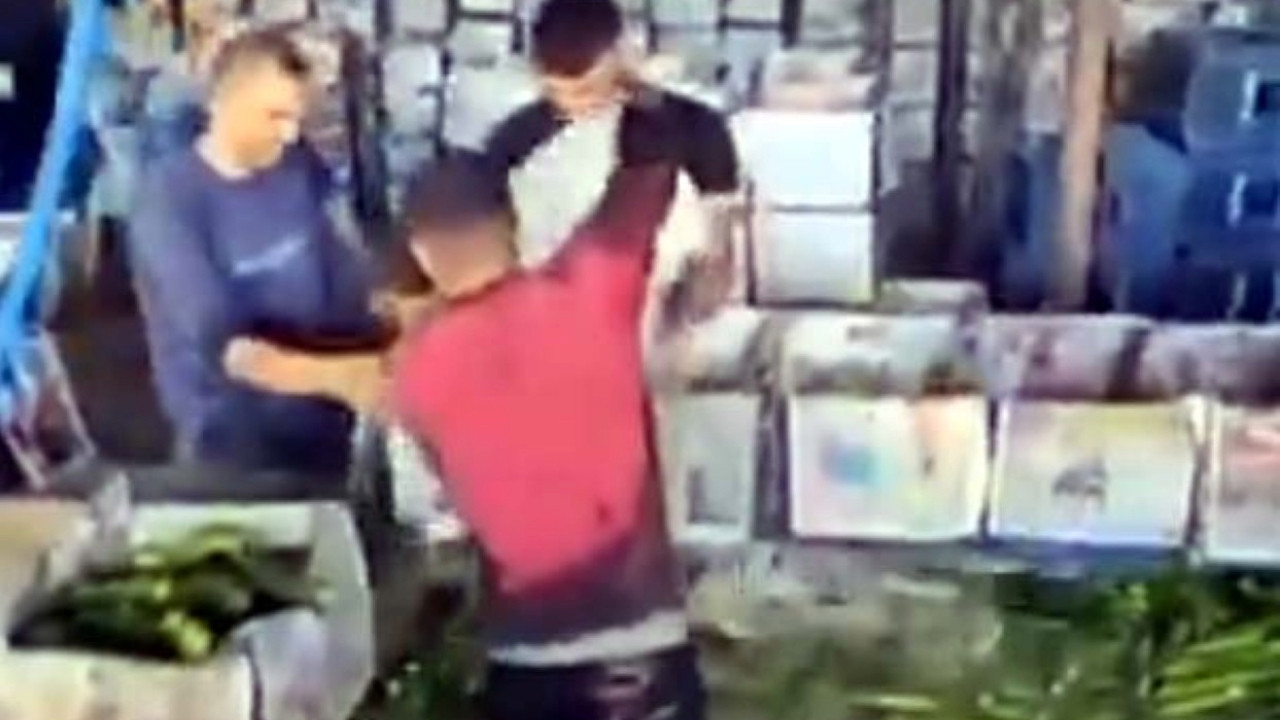 Görüntüler mide bulandırmıştı: Salatalık skandalına bakanlıktan inceleme