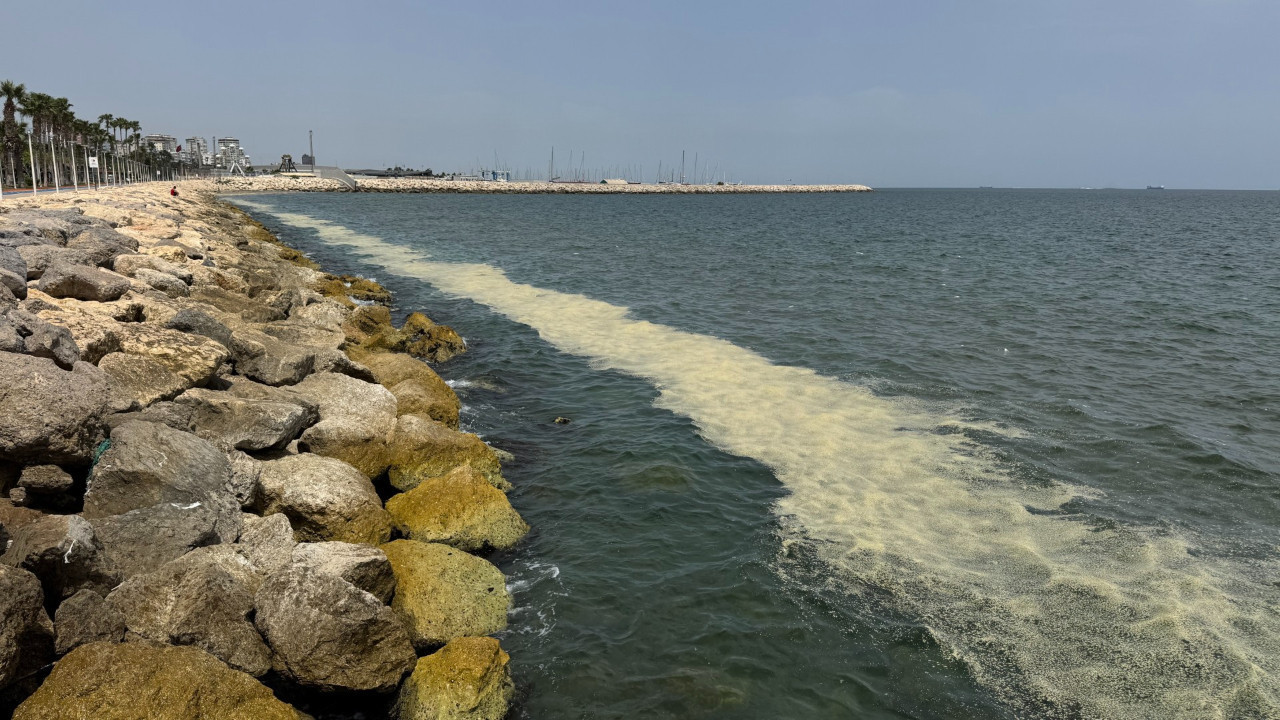 Mersin Körfezi’ni alglar sardı: Su değil yosun akıyor