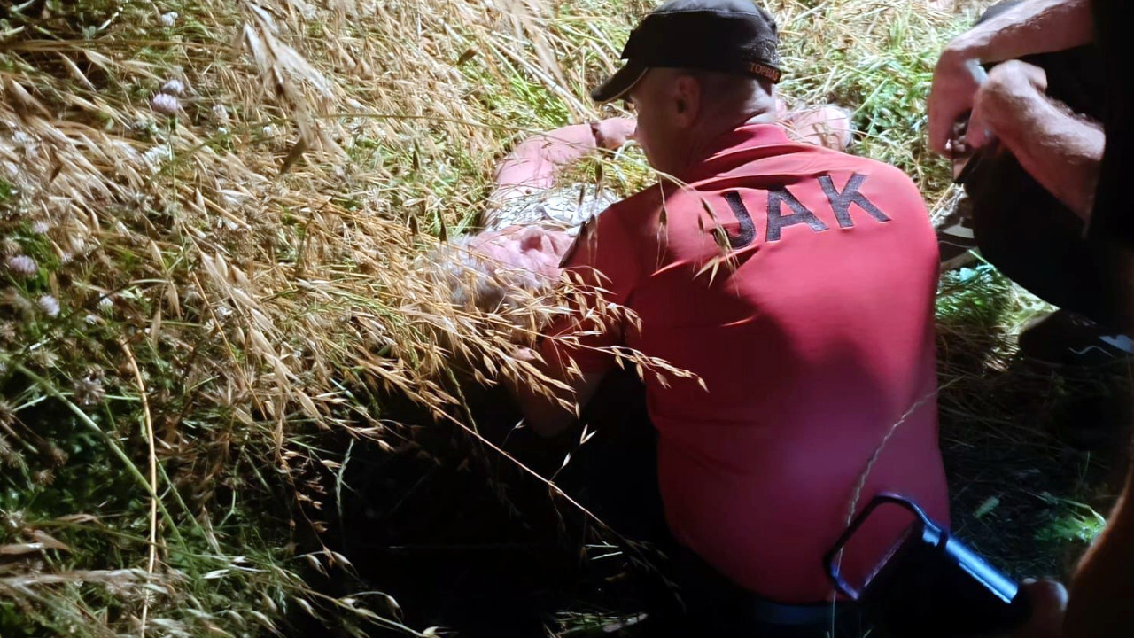 Kayıp kadın çalıların arasında uyurken bulundu