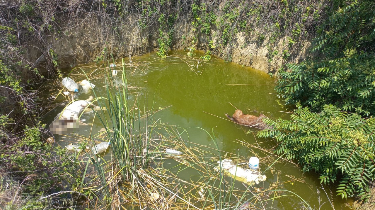 Vahşet: Başları kesilmiş halde çukurda bulundular