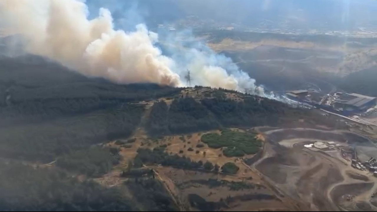 İzmir'de ormanlık alandaki yangın kontrol altında