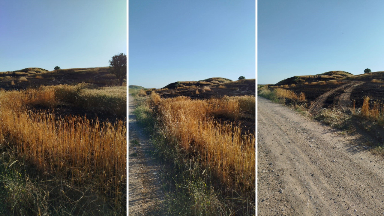 Soda şişesi 100 dönümlük ekili araziyi küle çevirdi