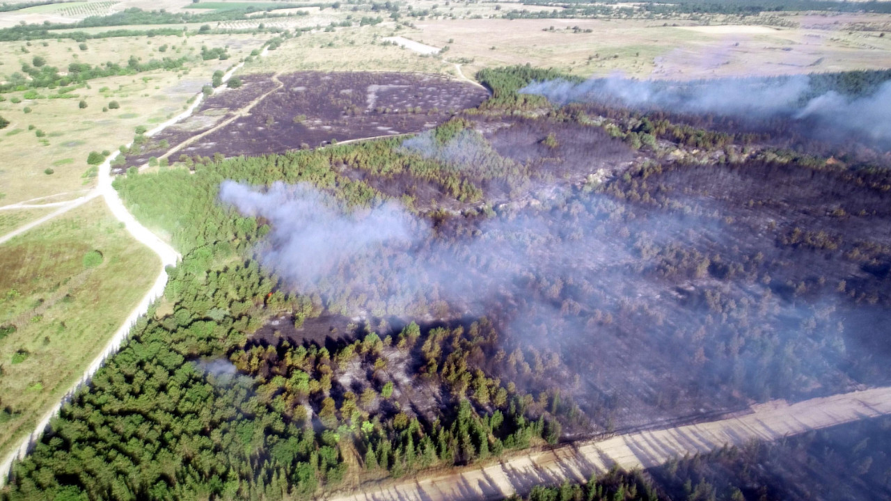 Tekirdağ'da ormanlara girişler yasaklandı