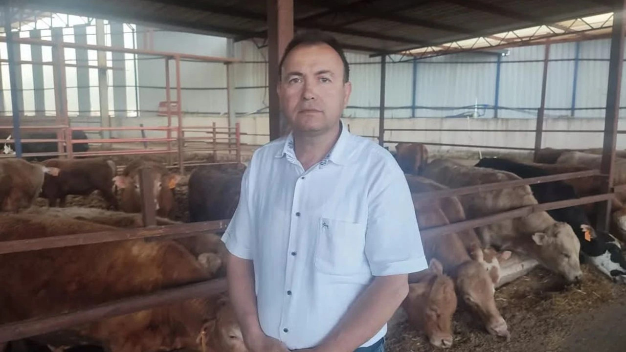 İş insanı boynuz darbesiyle öldü