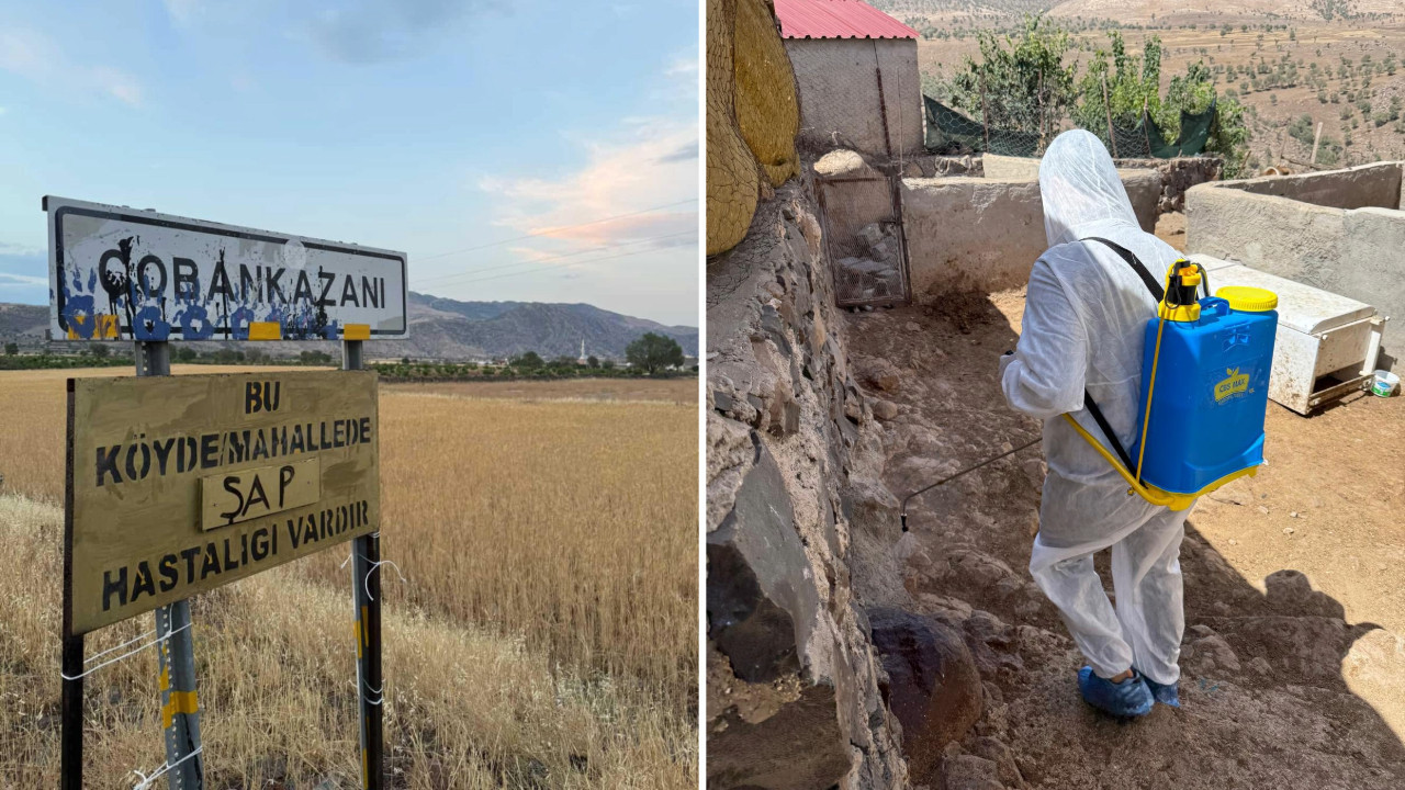 Kurban Bayramı öncesi 'şap' paniği: Köye hayvan girişi yasaklandı