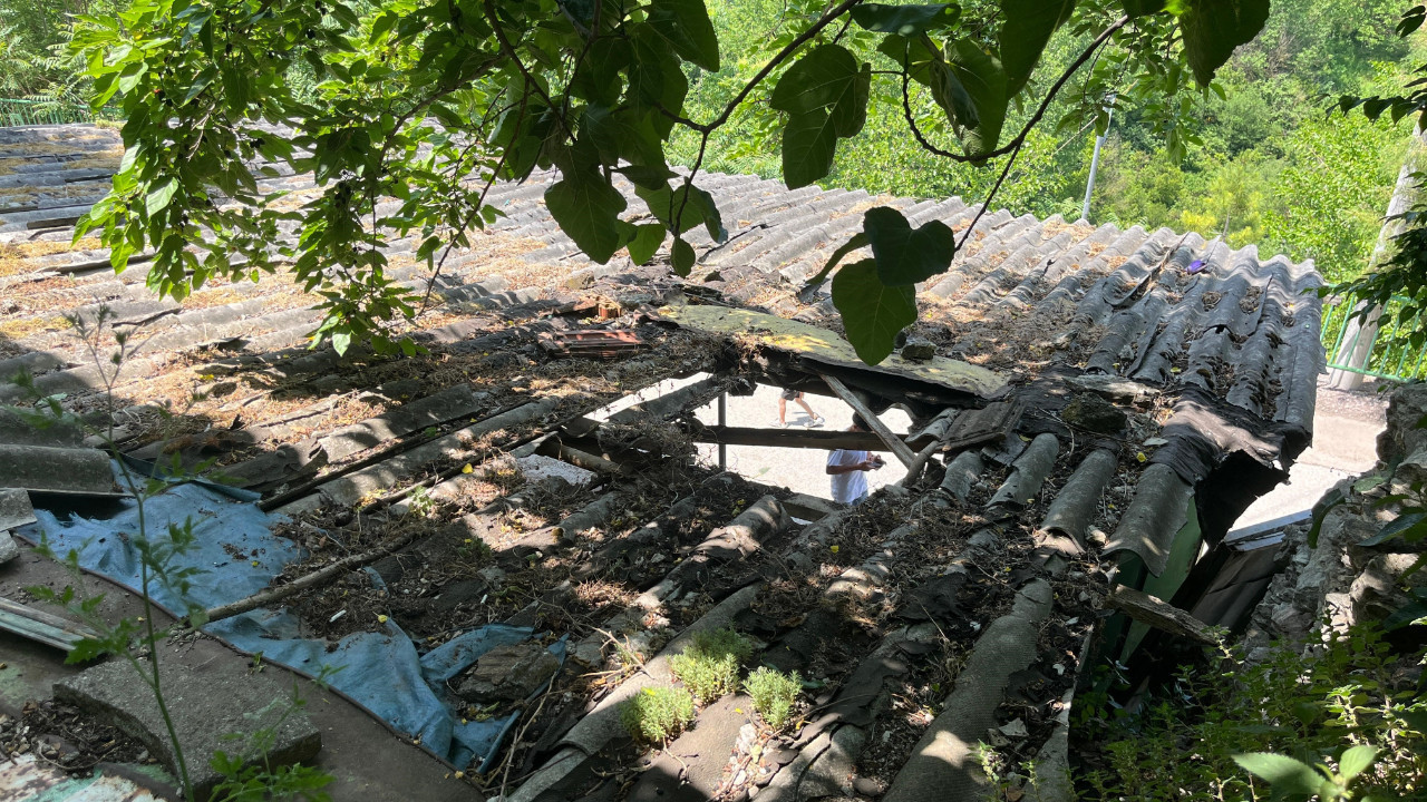 İpini koparan boğa 3 metre yükseklikten otomobilin üzerine düştü