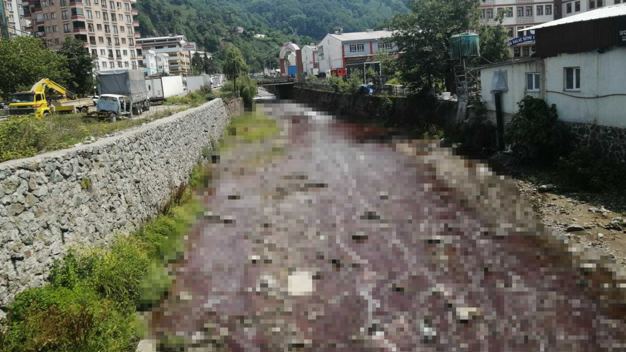 Rize'de tepki çeken görüntü