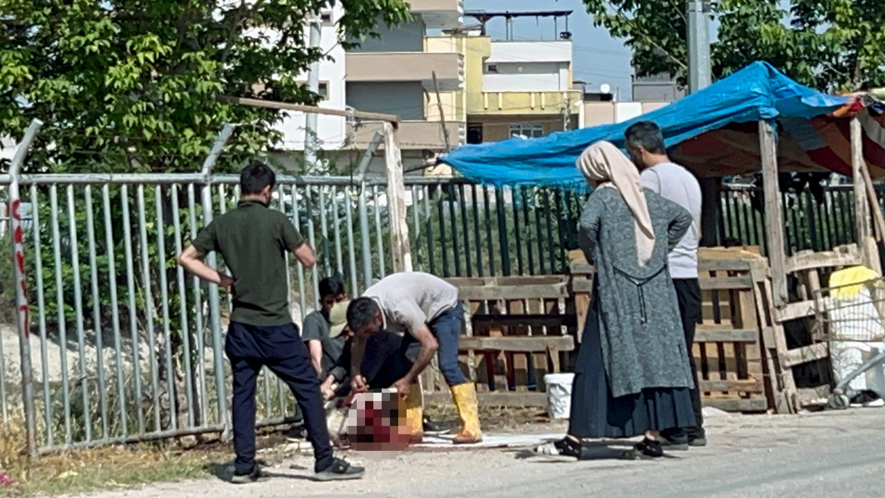Sokak sokak usulsüz kesim!