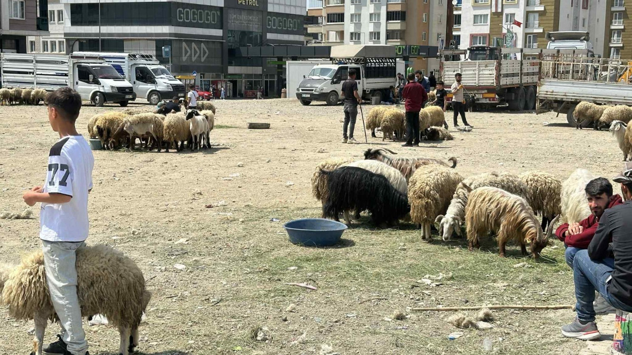 Van’da besiciler zarar etti: 'Hayvancılık bitme noktasına geldi'