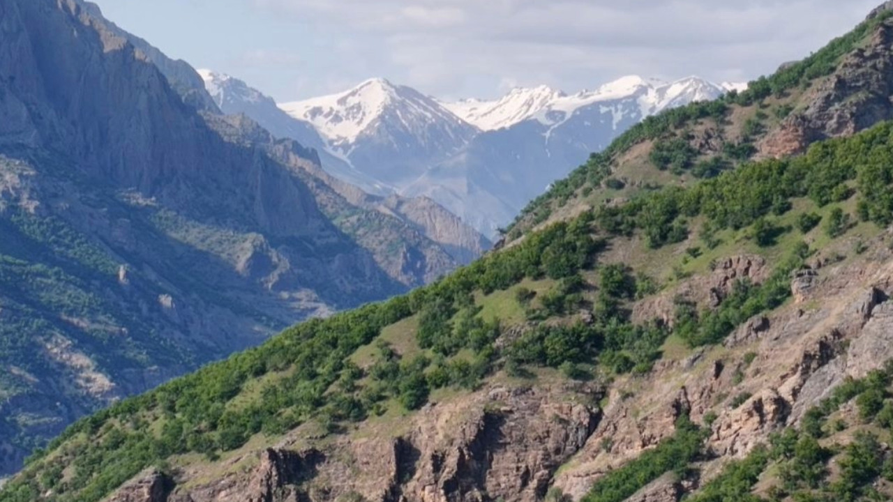 Mantar toplarken kayboldu cansız bedeni bulundu