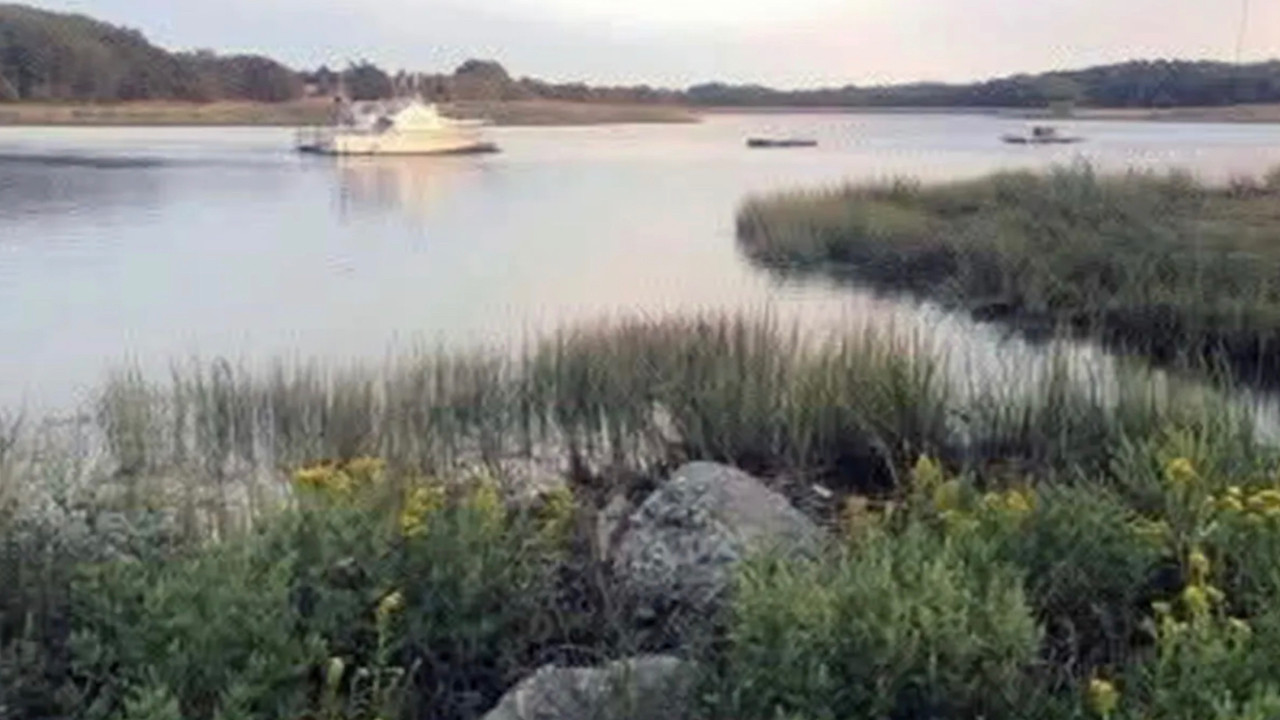 Seri katil paniği artıyor: Bir kadın cesedi daha bulundu