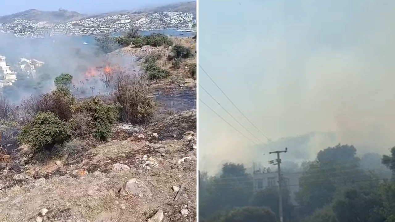 Bodrum'da makilik alanda çıkan yangın söndürüldü