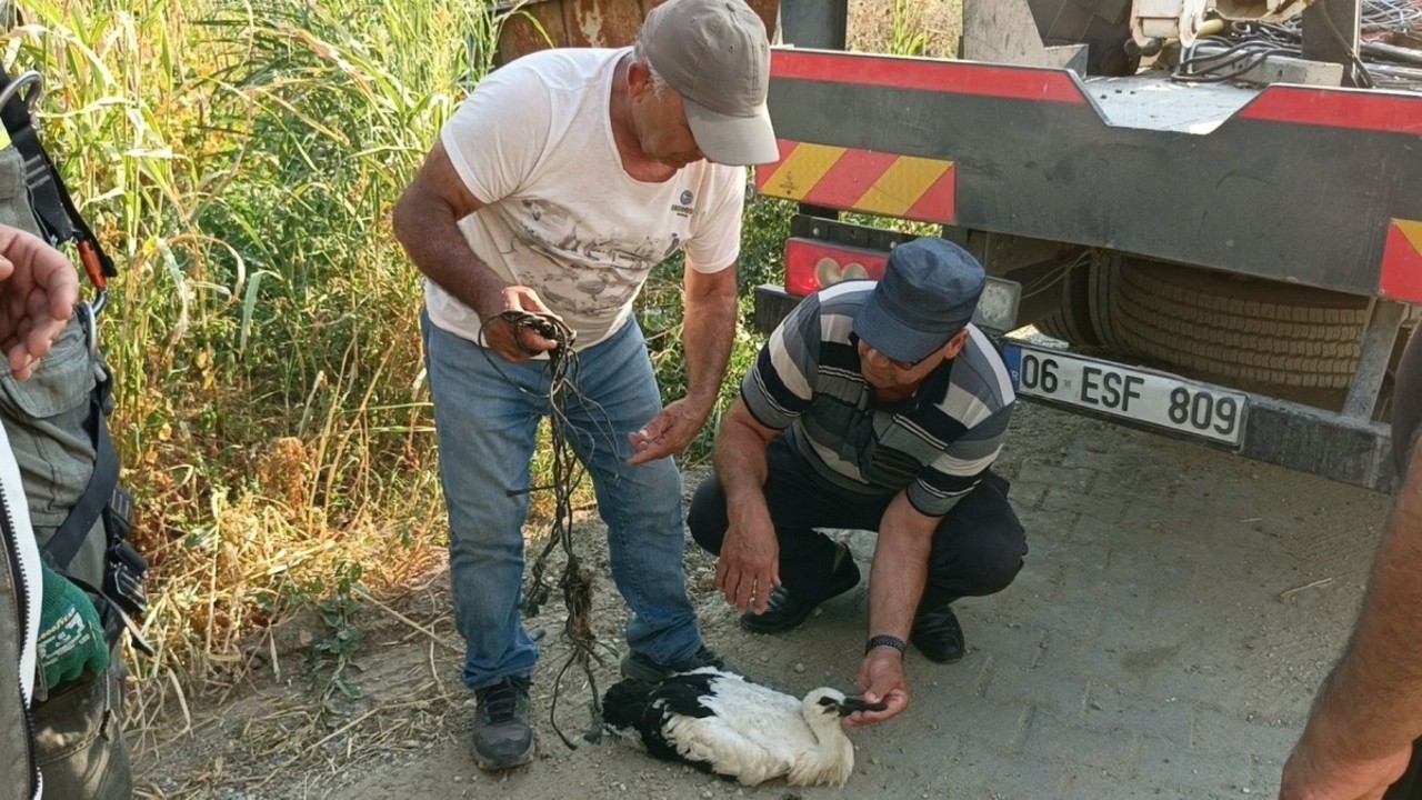 Hareketsiz kalan leylek için seferber oldular