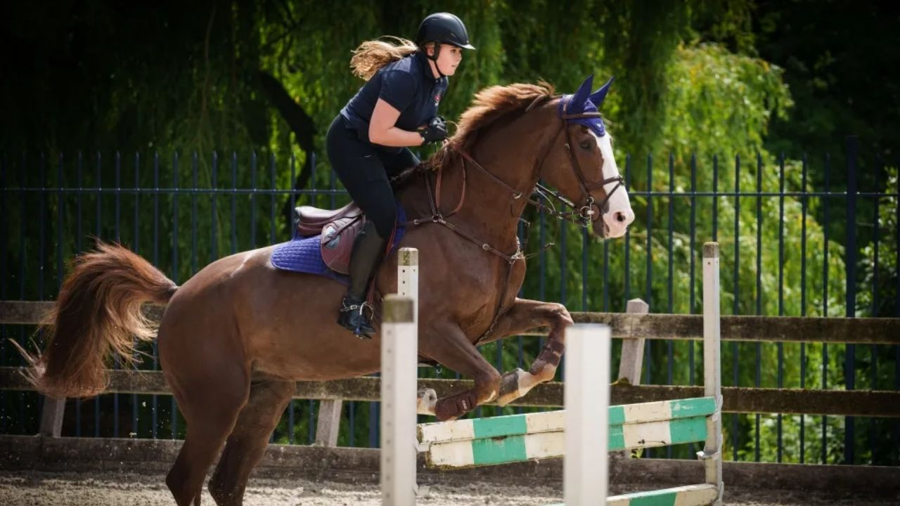 Hollanda tahtının varisi hastanelik oldu