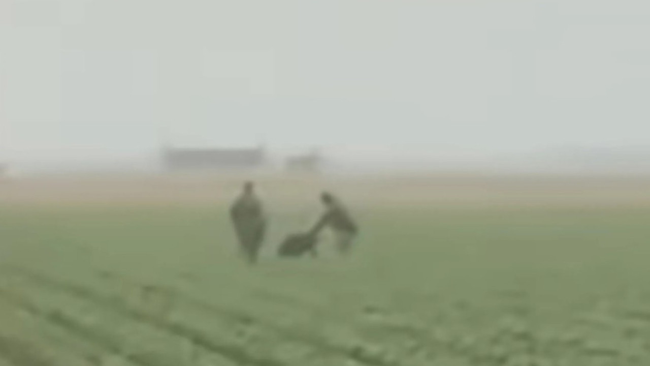 Trump'ın göçmen avı: Ajanlar tarım işçilerini kovalayıp gözaltına aldı