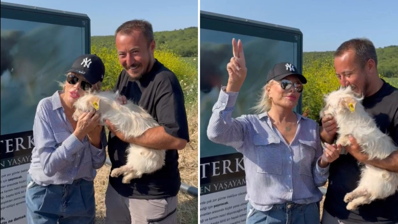 Ajda Pekkan hayvanseverlere çağrıda bulundu