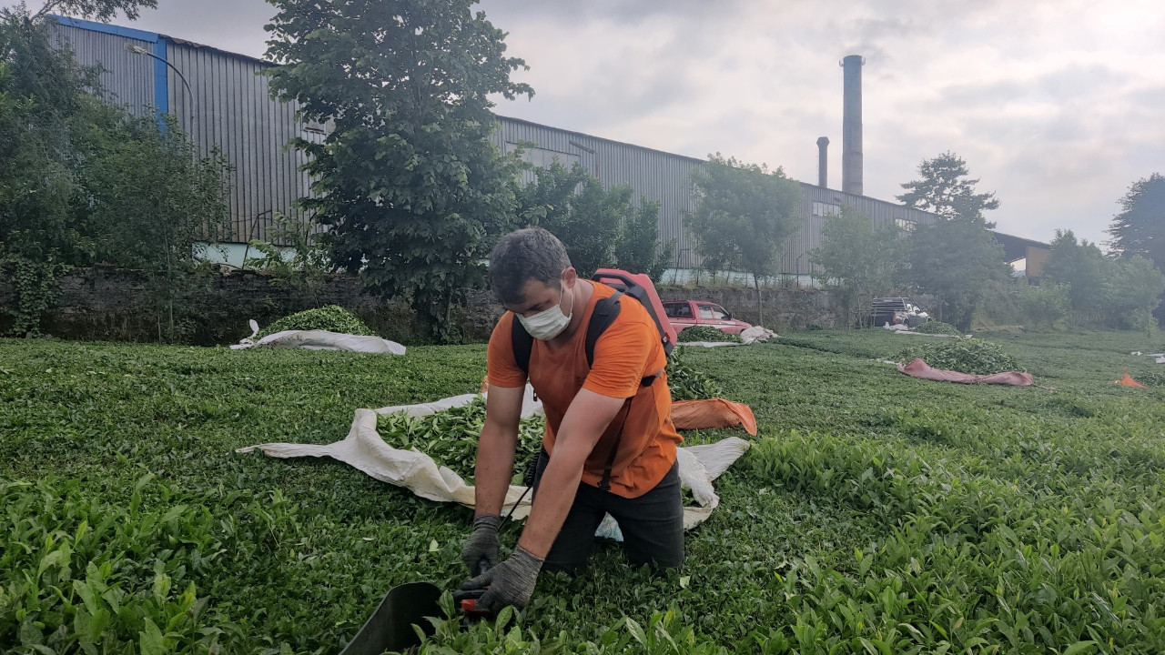 Halk tepkili: Egzozlu motor yasak, kömür tozu serbest