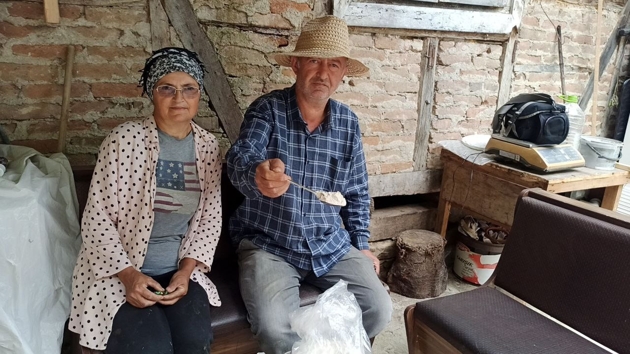 Memlekete döndüler, 10 dönümlük arazide yetiştiriyorlar: 'Talep çok yüksek'