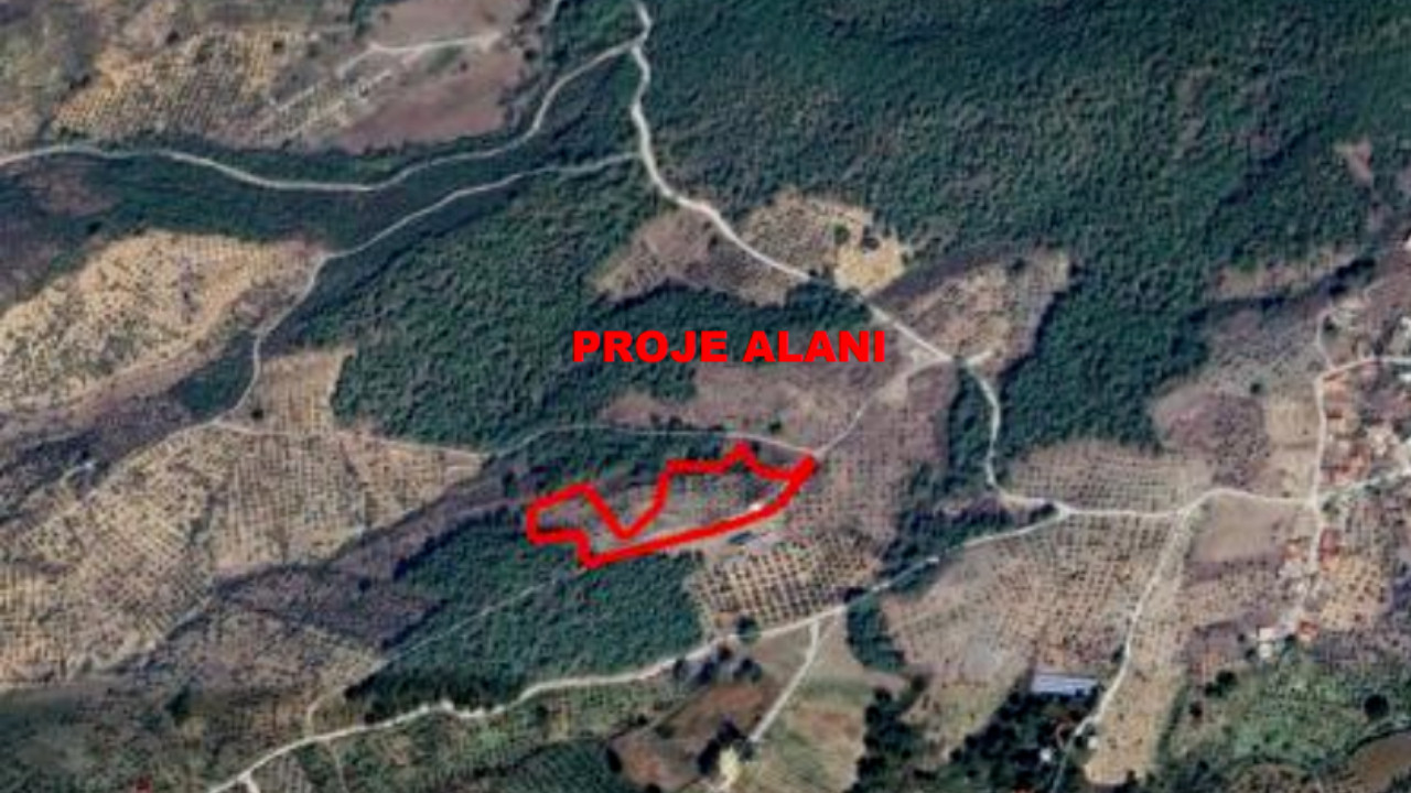 Bakanlığın gerekçesi dikkat çekti: Define avına izin çıkmadı