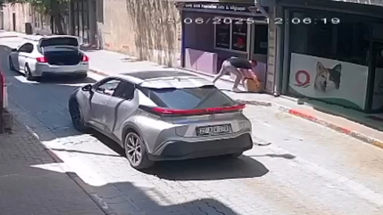 Köpeği güneşin altında ölüme terk ettiler