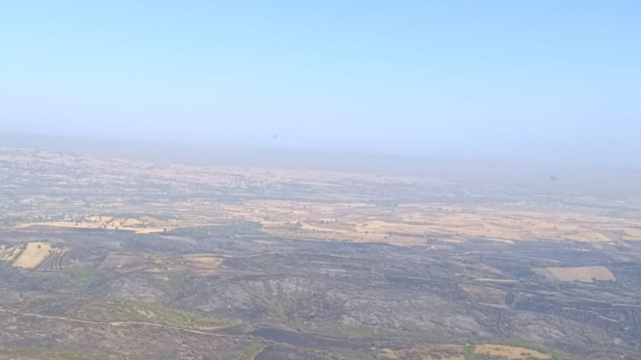 Orman yangını ikinci günde söndü: Beş kişi gözaltında