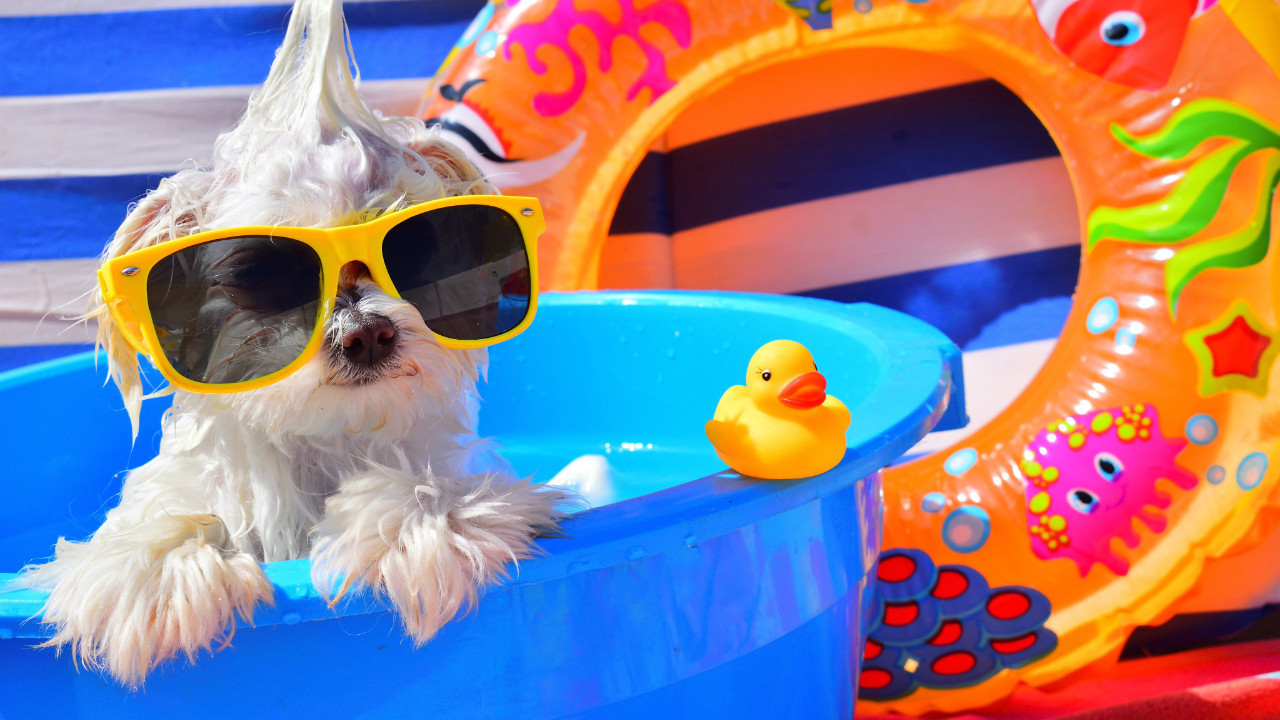 Meteoroloji tarih verdi: Kavrulacağız