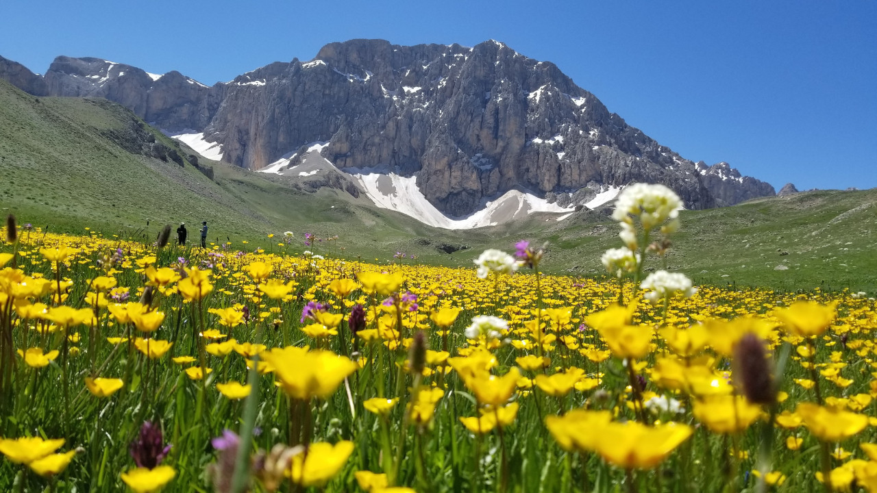 Doğa severlerin rotası oldu: 3 bin rakımda saklı cennet