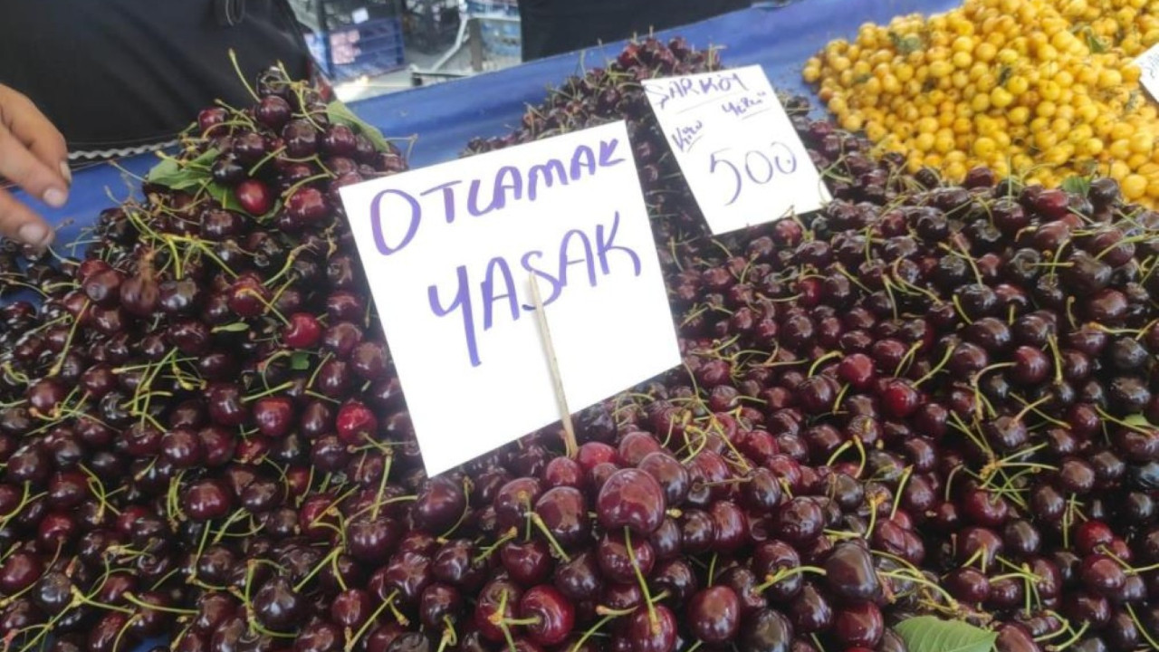 Dünya birincisi Türkiye’de kiraz lüks oldu