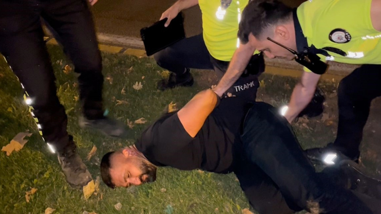 Görünce panikledi, ortalığı birbirine kattı: Nedeni sonradan anlaşıldı