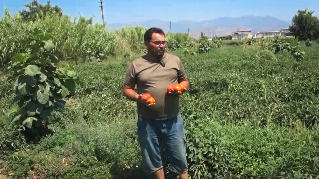 Çaresizliğini anlatırken ne diyeceğini bilemedi: 500 bin TL zarar ettik