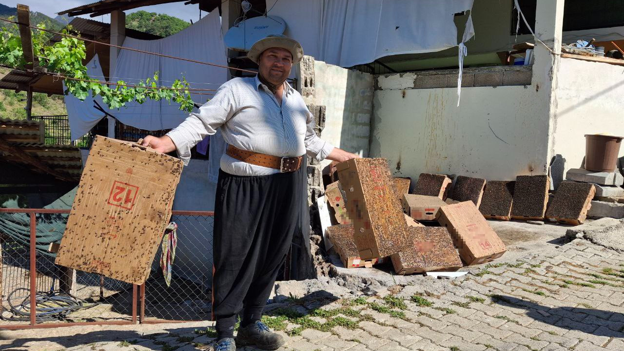 Adana usulü sinekle mücadele: 15 dakikada 4 karton doldu